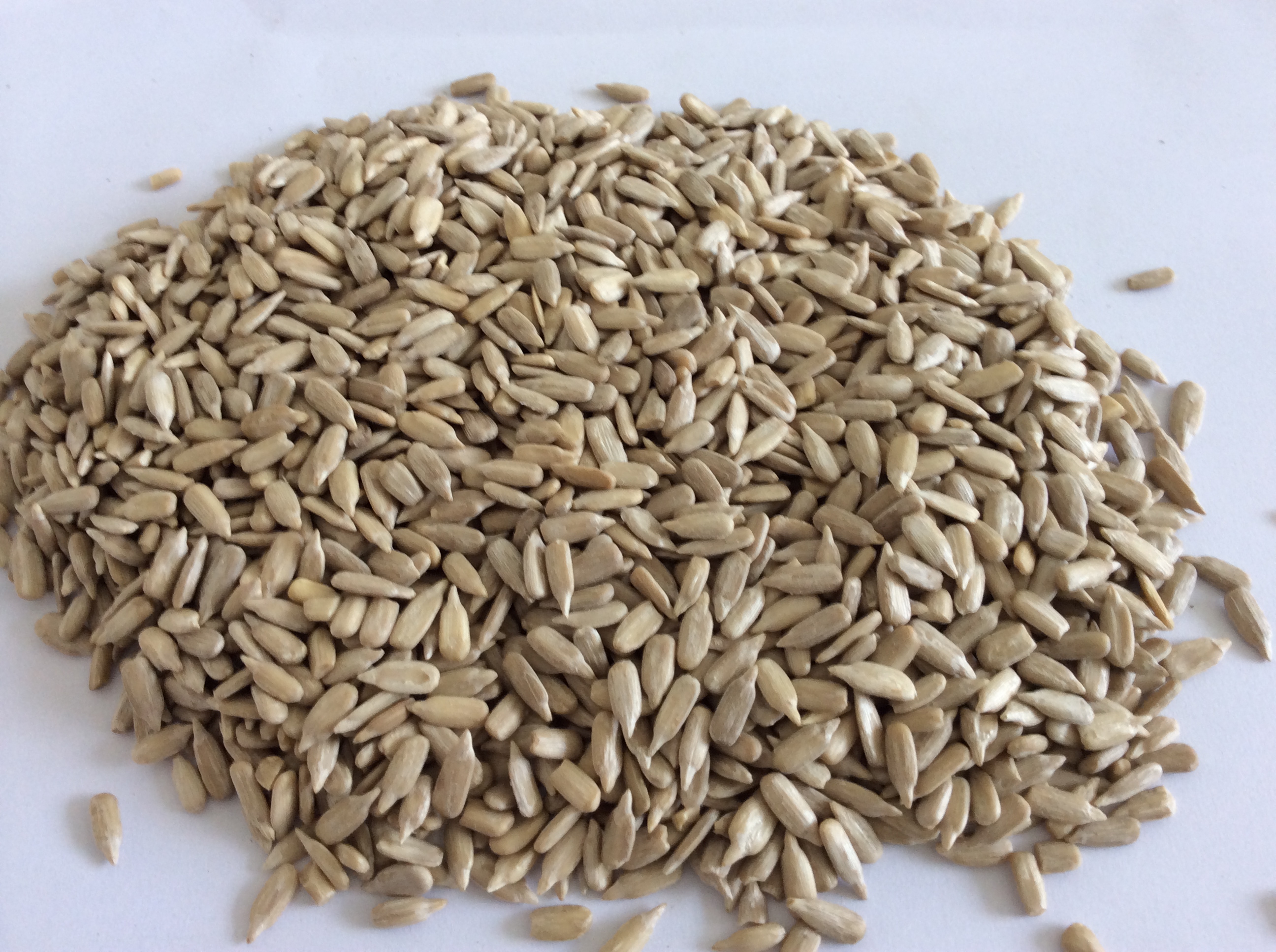 sunflower seed kernels