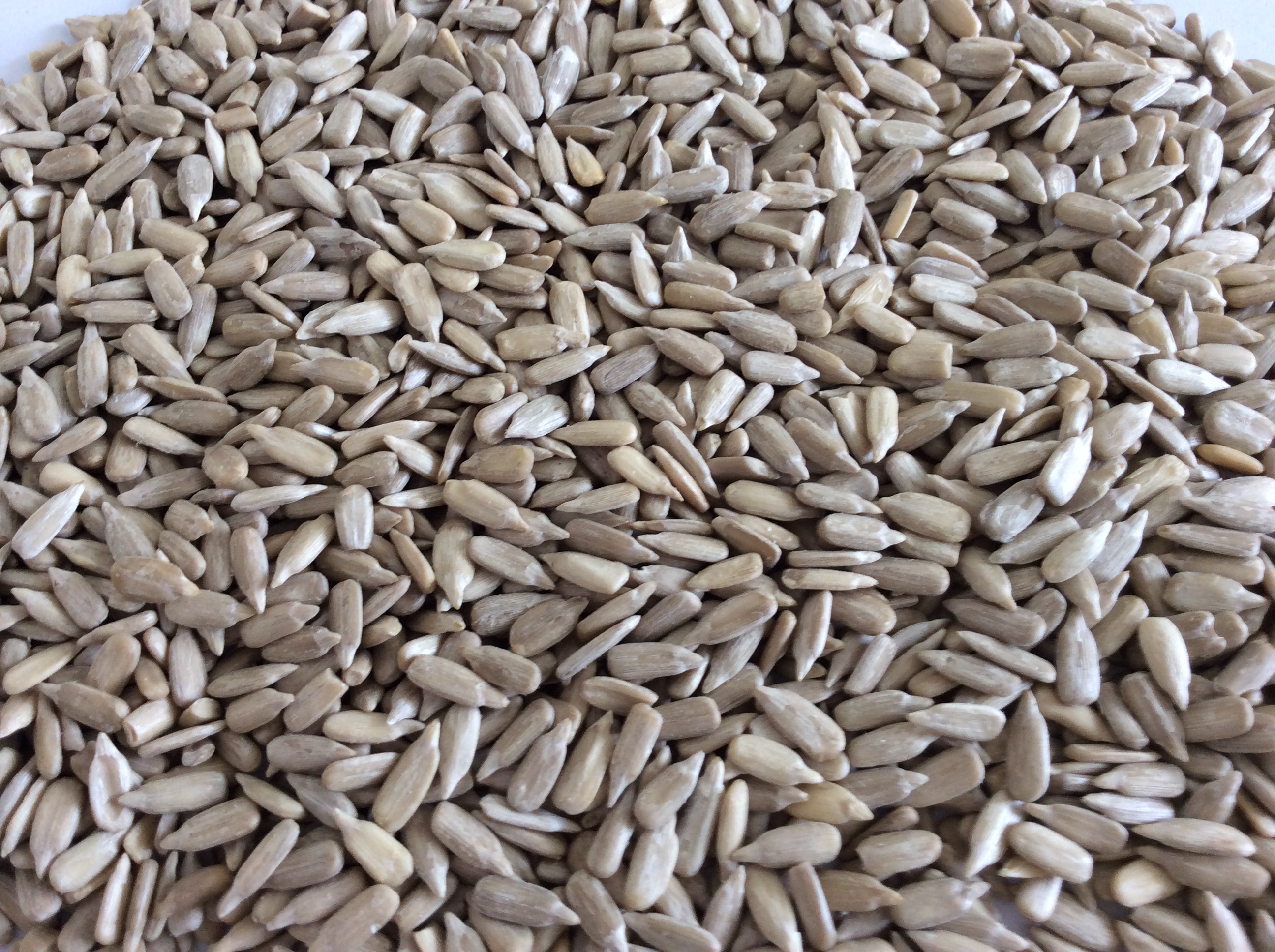 sunflower seed kernels