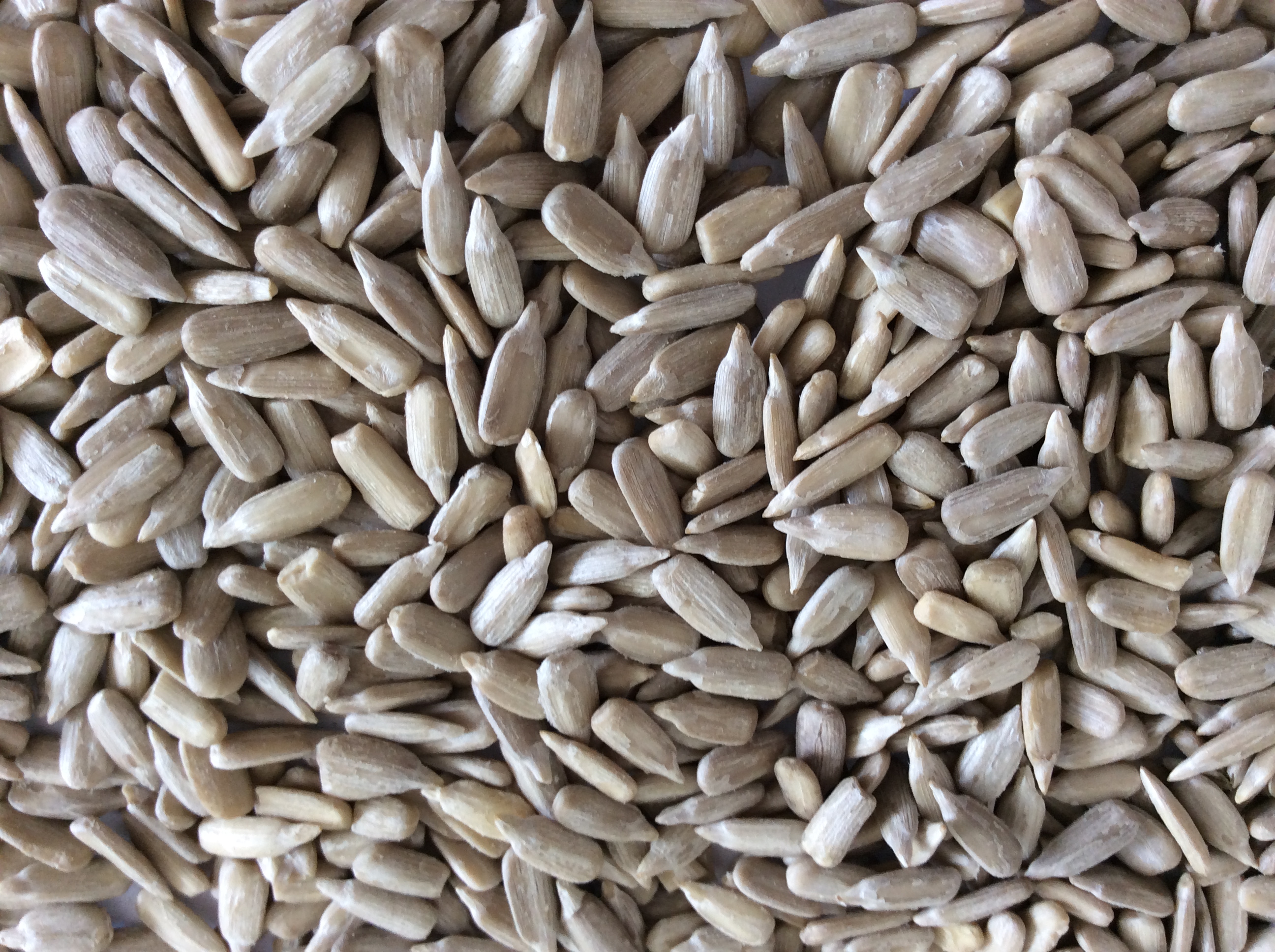 sunflower seed kernels