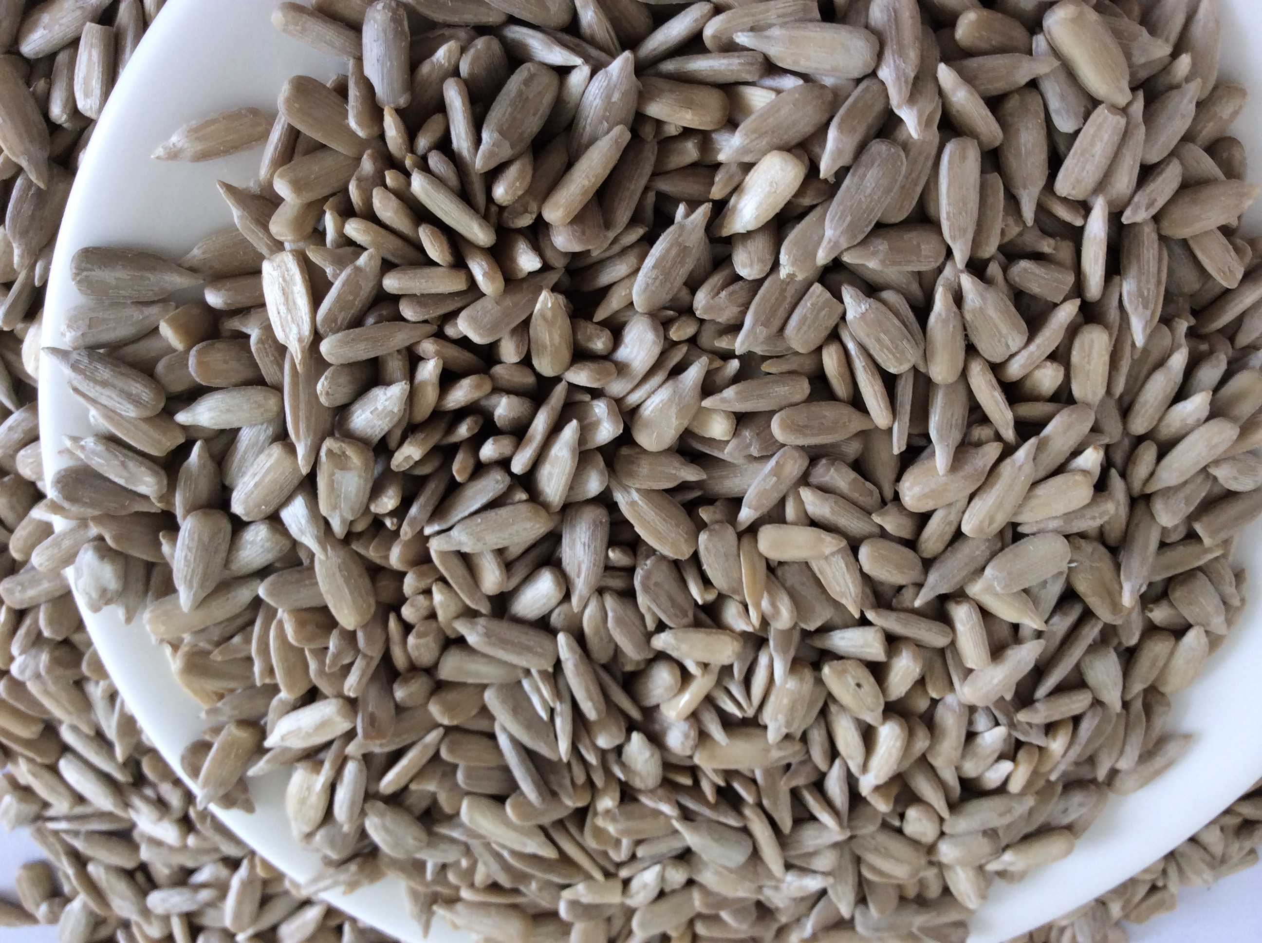 sunflower seed kernels