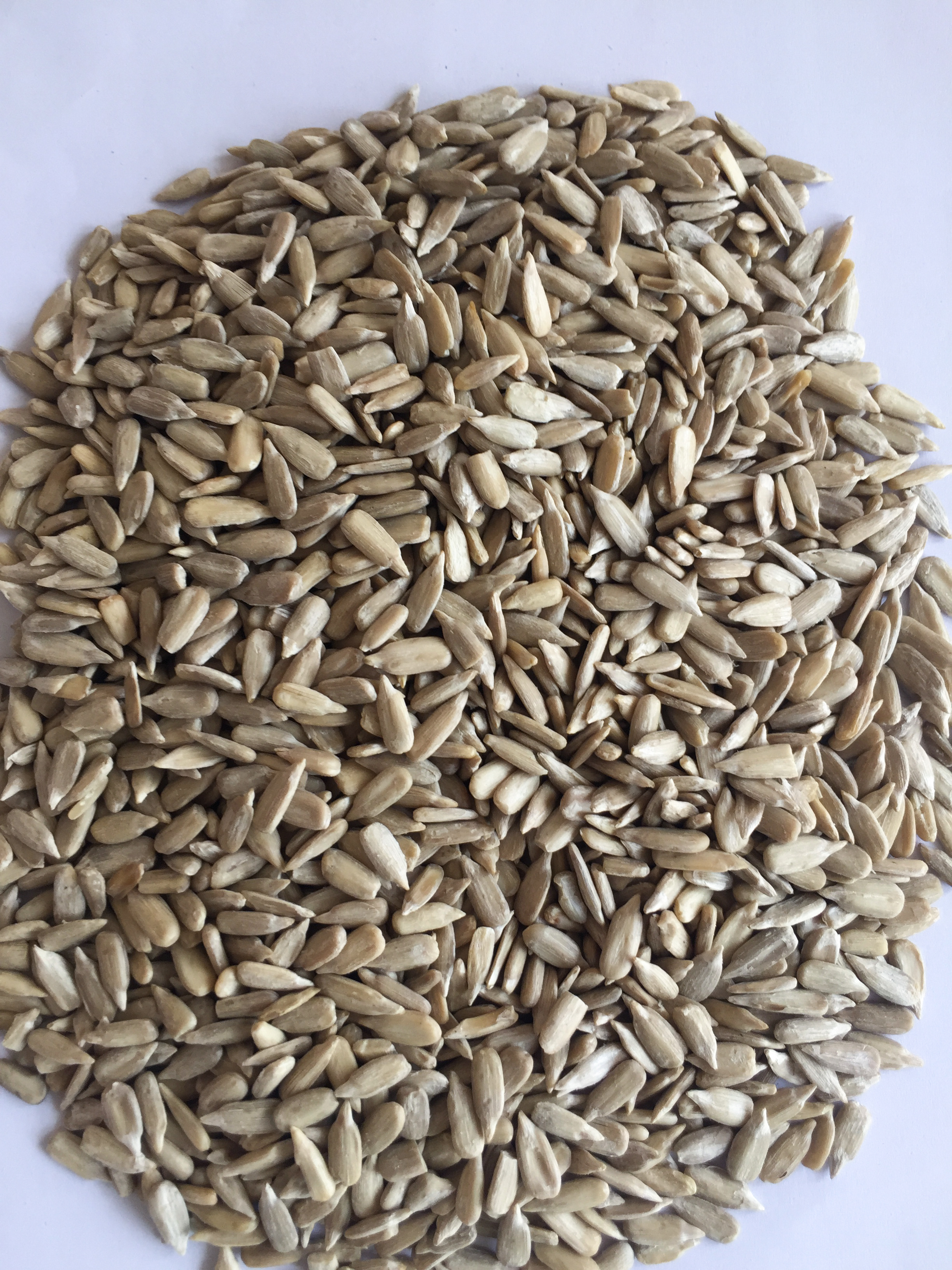 sunflower seed kernels
