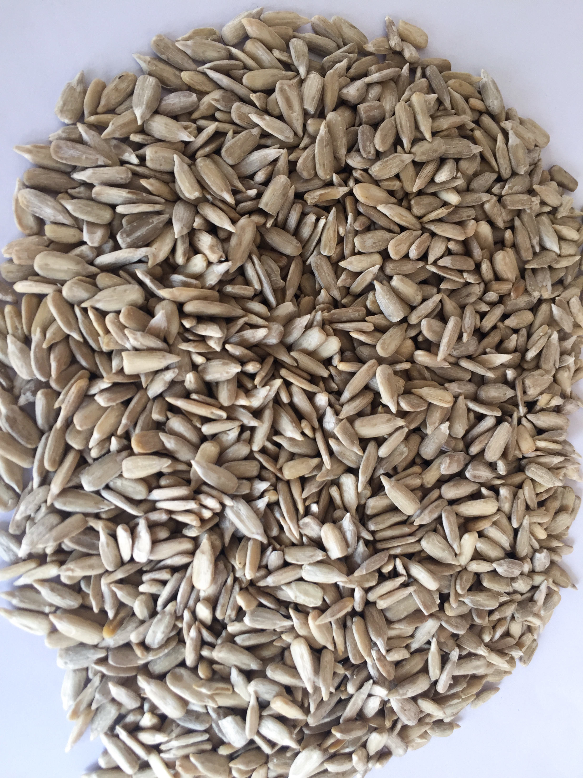 sunflower seed kernels