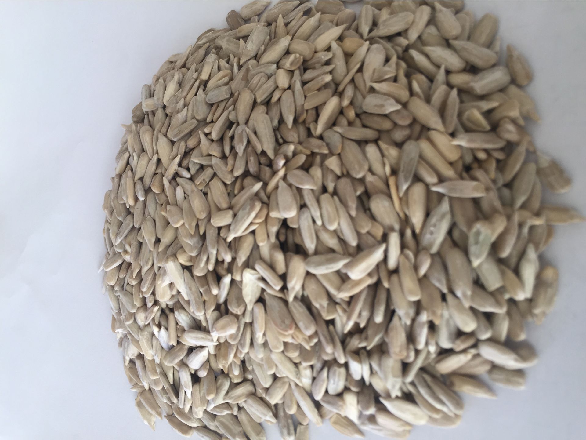 sunflower seed kernels
