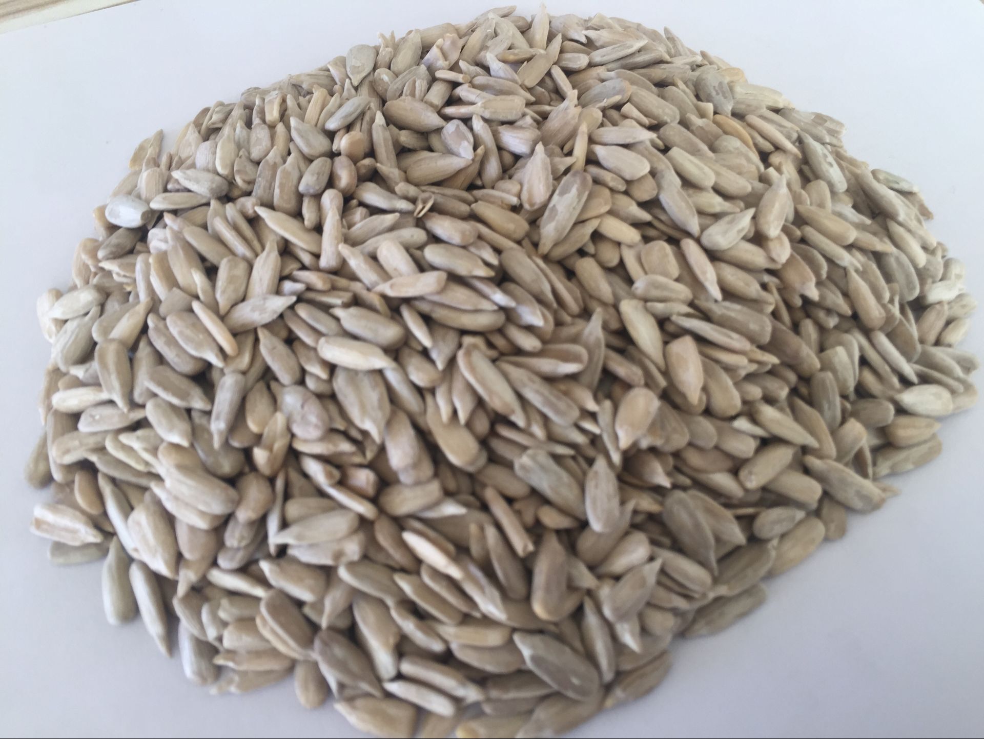 sunflower seed kernels