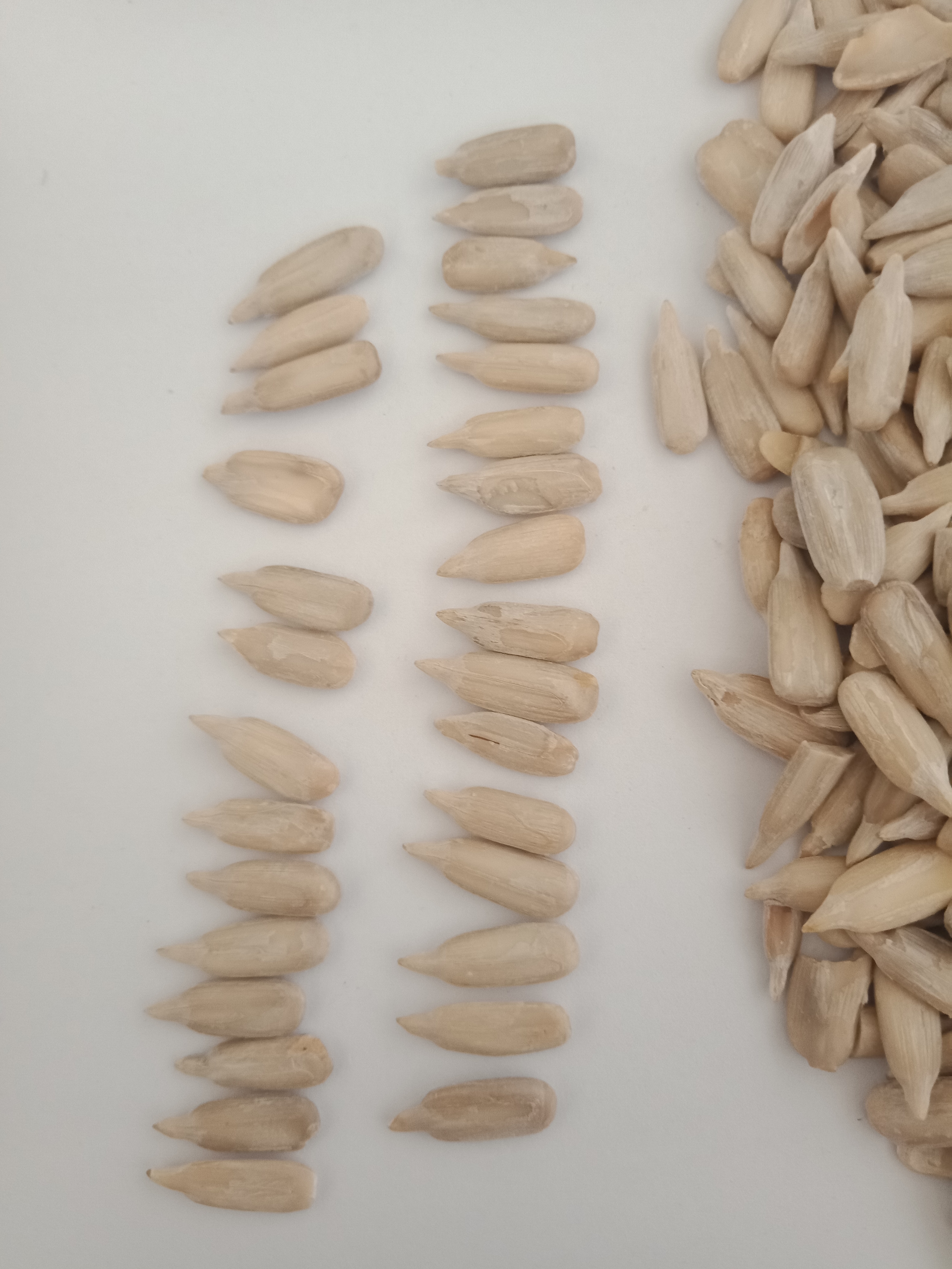 sunflower seed kernels