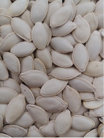 Shine Skin Pumpkin Seeds