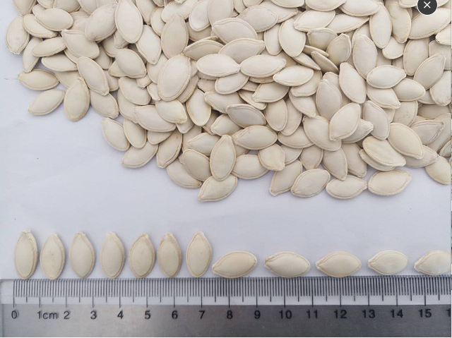 Shine Skin Pumpkin Seeds