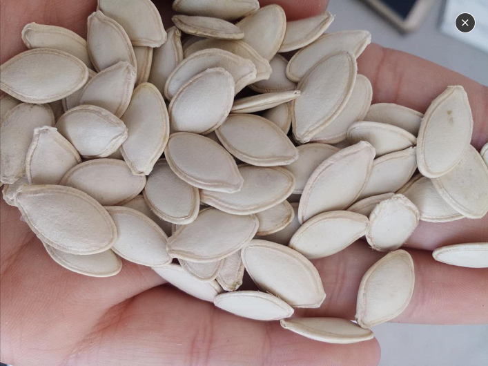 Shine Skin Pumpkin Seeds