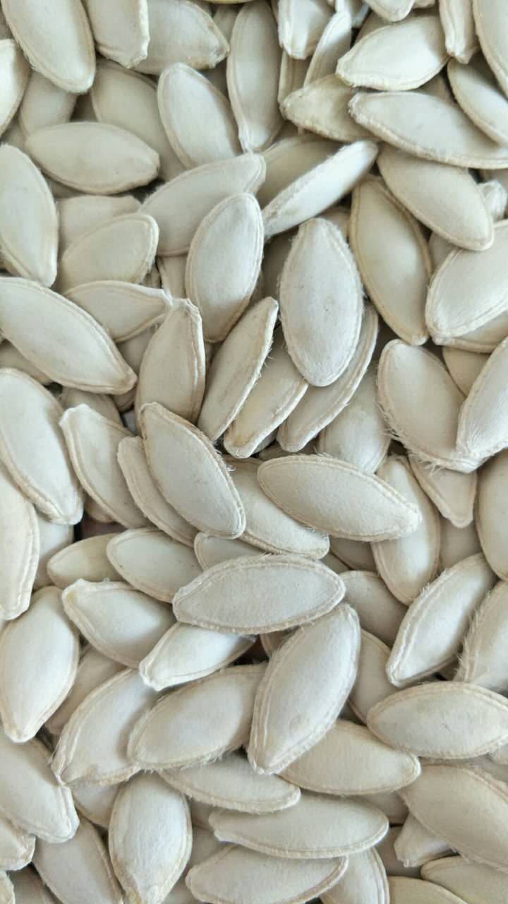 Lady Nail  Pumpkin Seeds