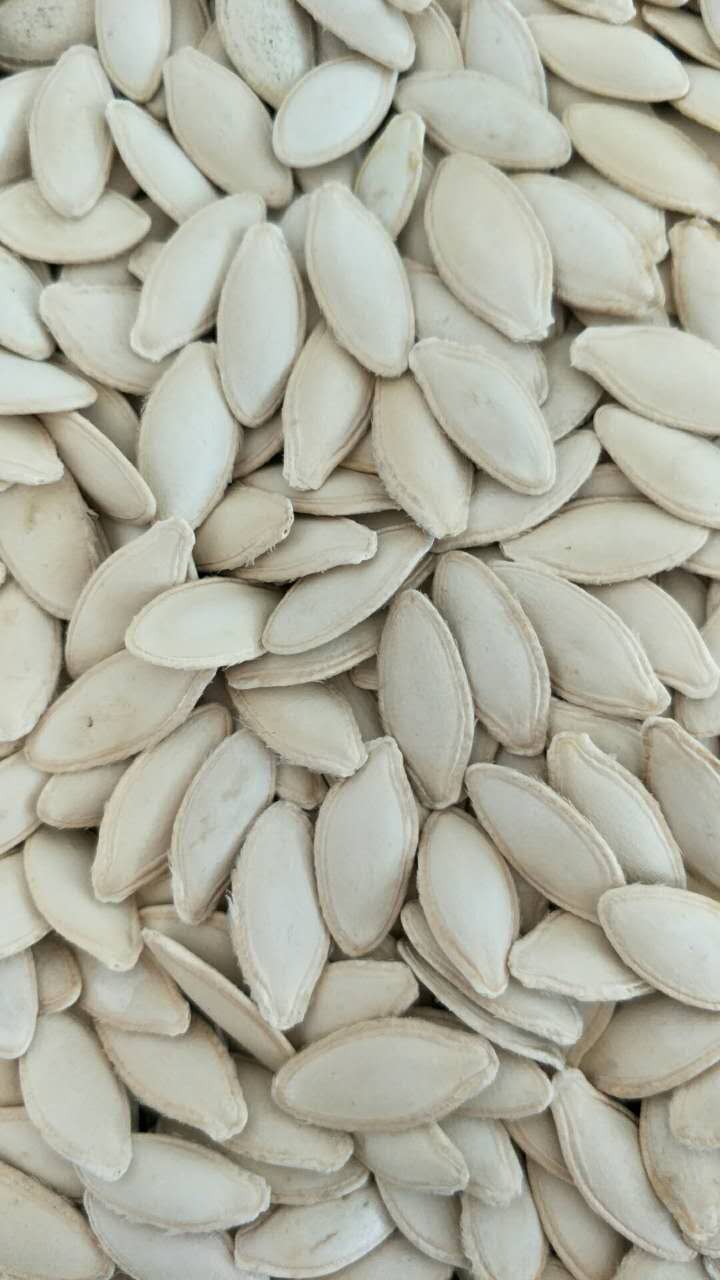 Lady Nail  Pumpkin Seeds