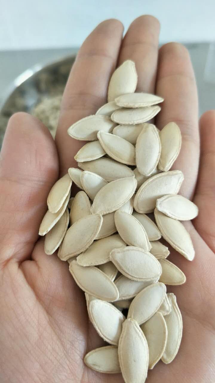 Lady Nail  Pumpkin Seeds