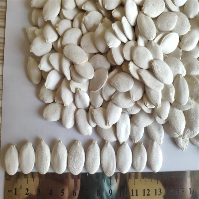 Snow White Pumpkin Seeds