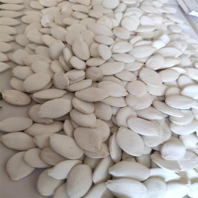 Snow White Pumpkin Seeds