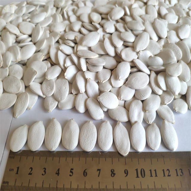 Snow White Pumpkin Seeds