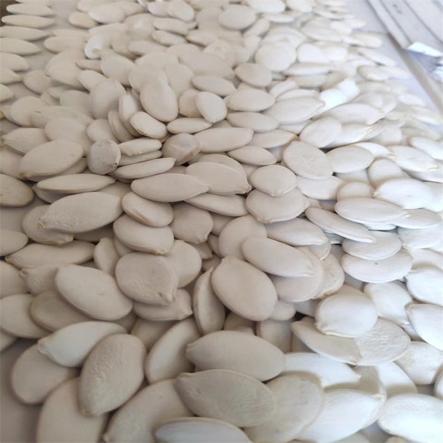 Snow White Pumpkin Seeds