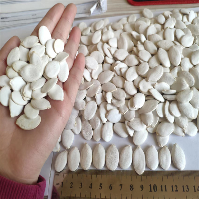 Snow White Pumpkin Seeds