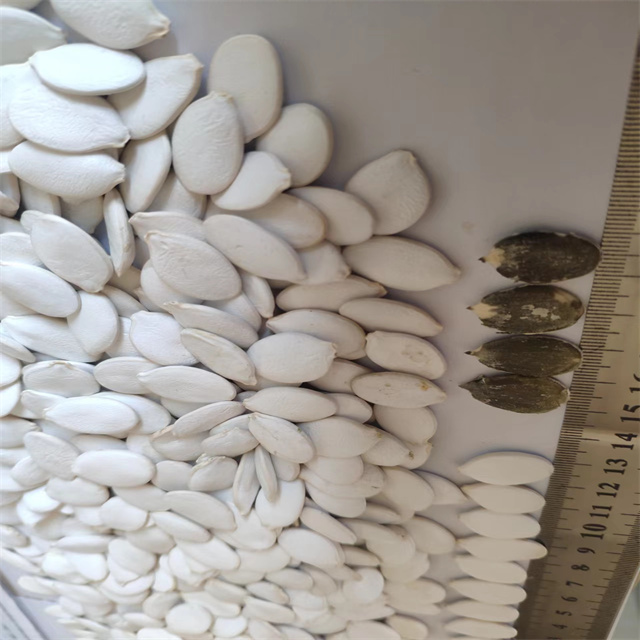 Snow White Pumpkin Seeds