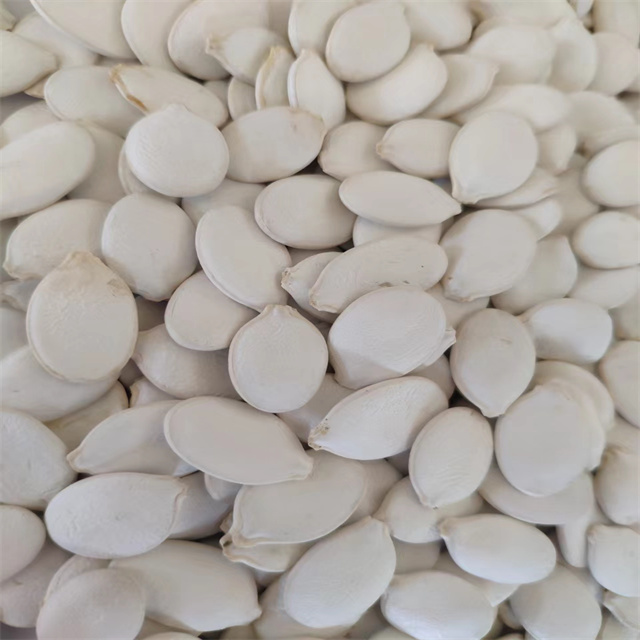 Snow White Pumpkin Seeds