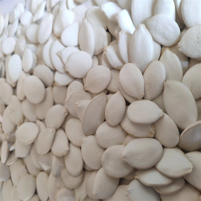 Snow White Pumpkin Seeds
