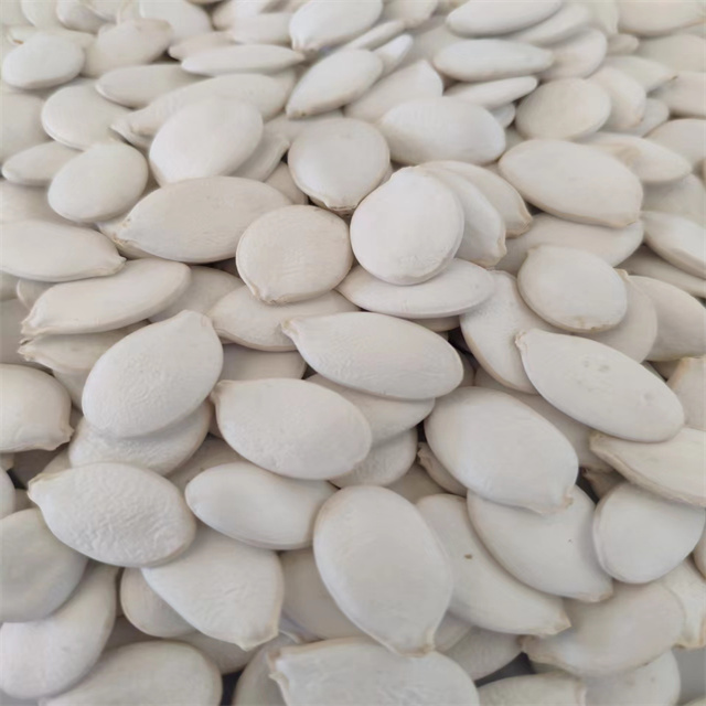 Snow White Pumpkin Seeds