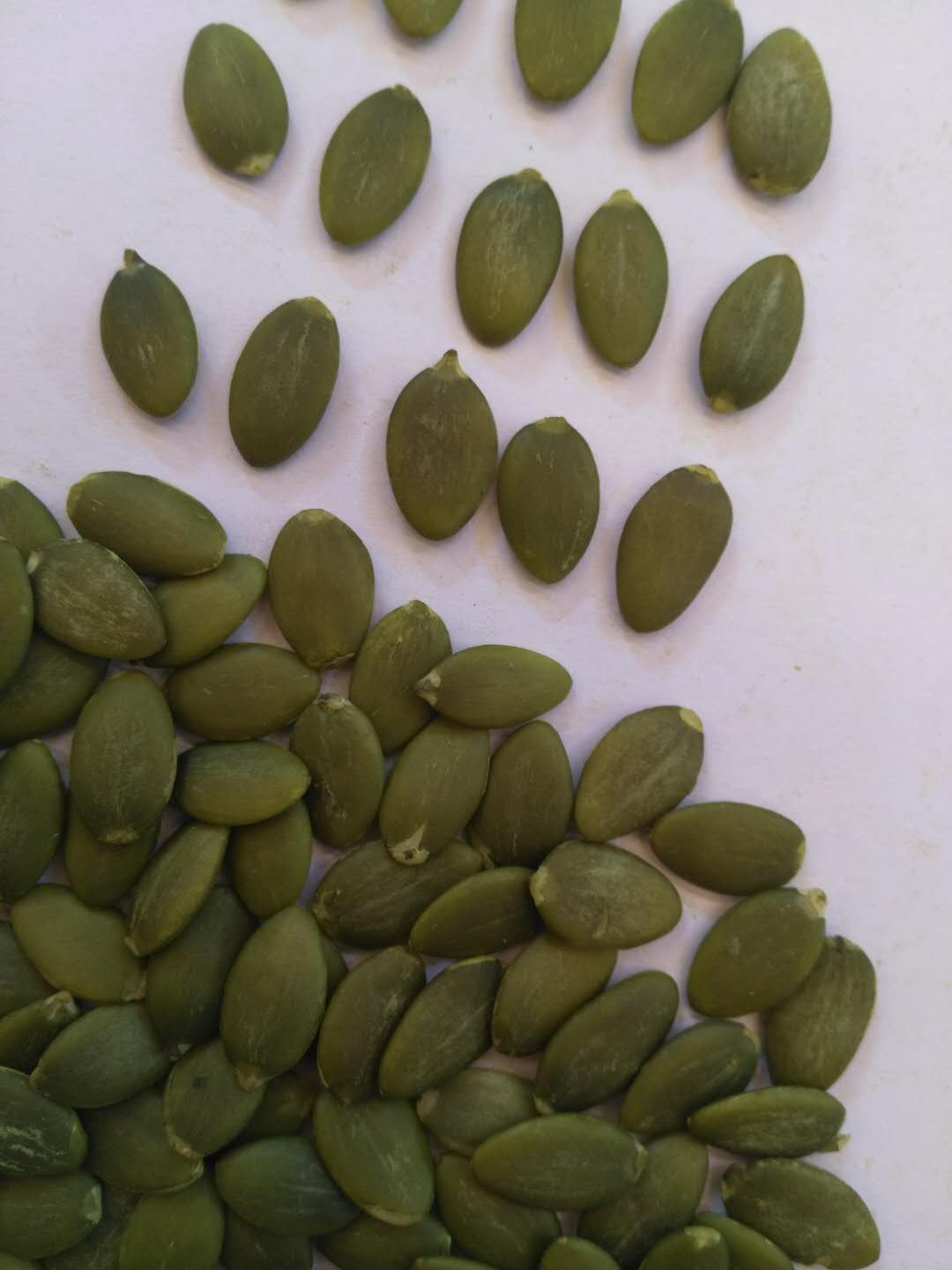 shine skin pumpkin seeds kernels AAA