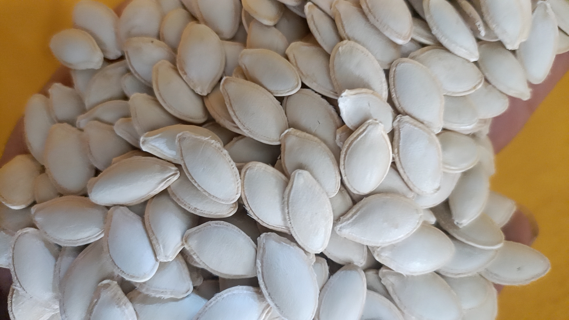 Shine Skin Pumpkin Seeds