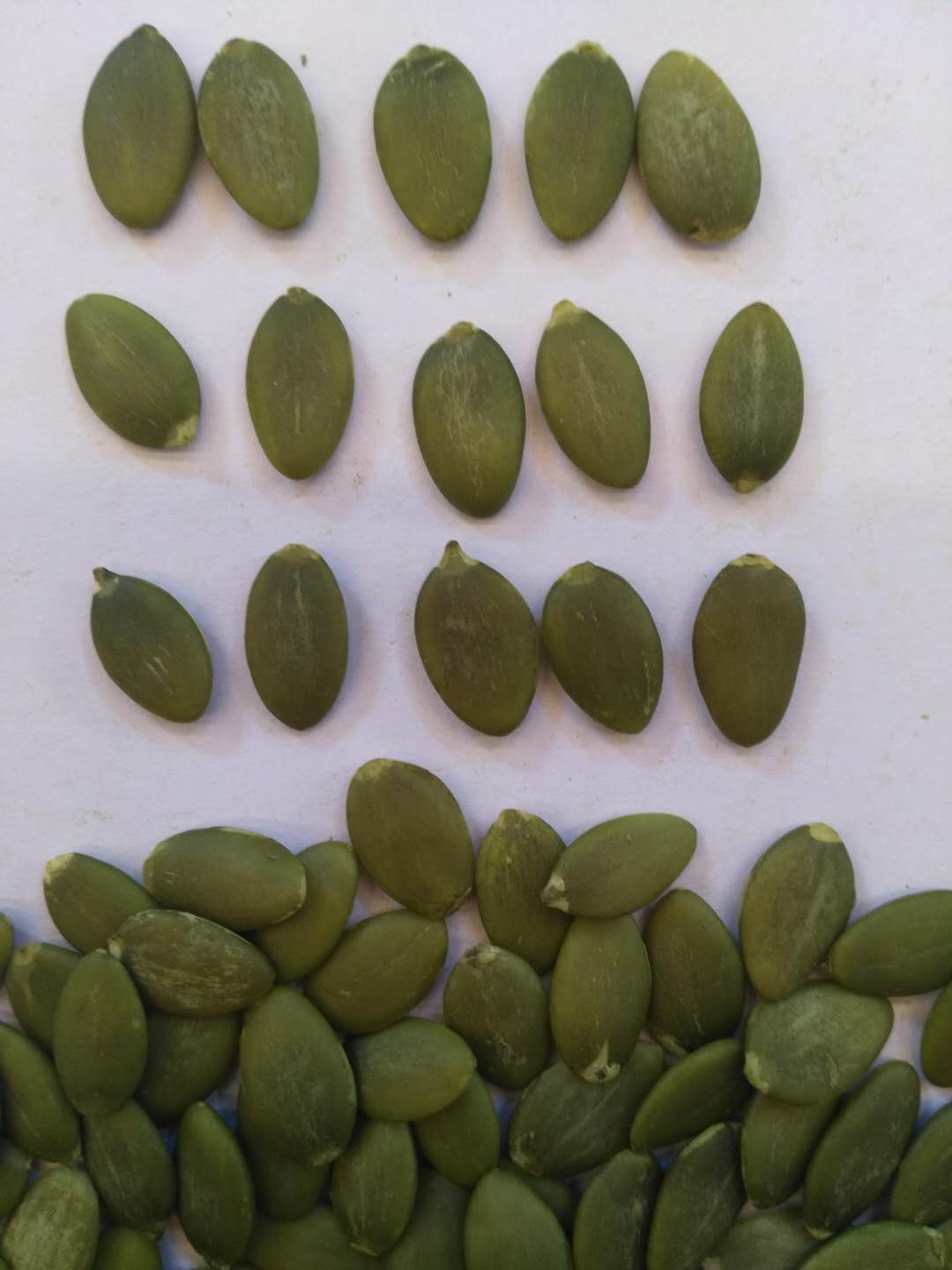 shine skin pumpkin seeds kernels AAA