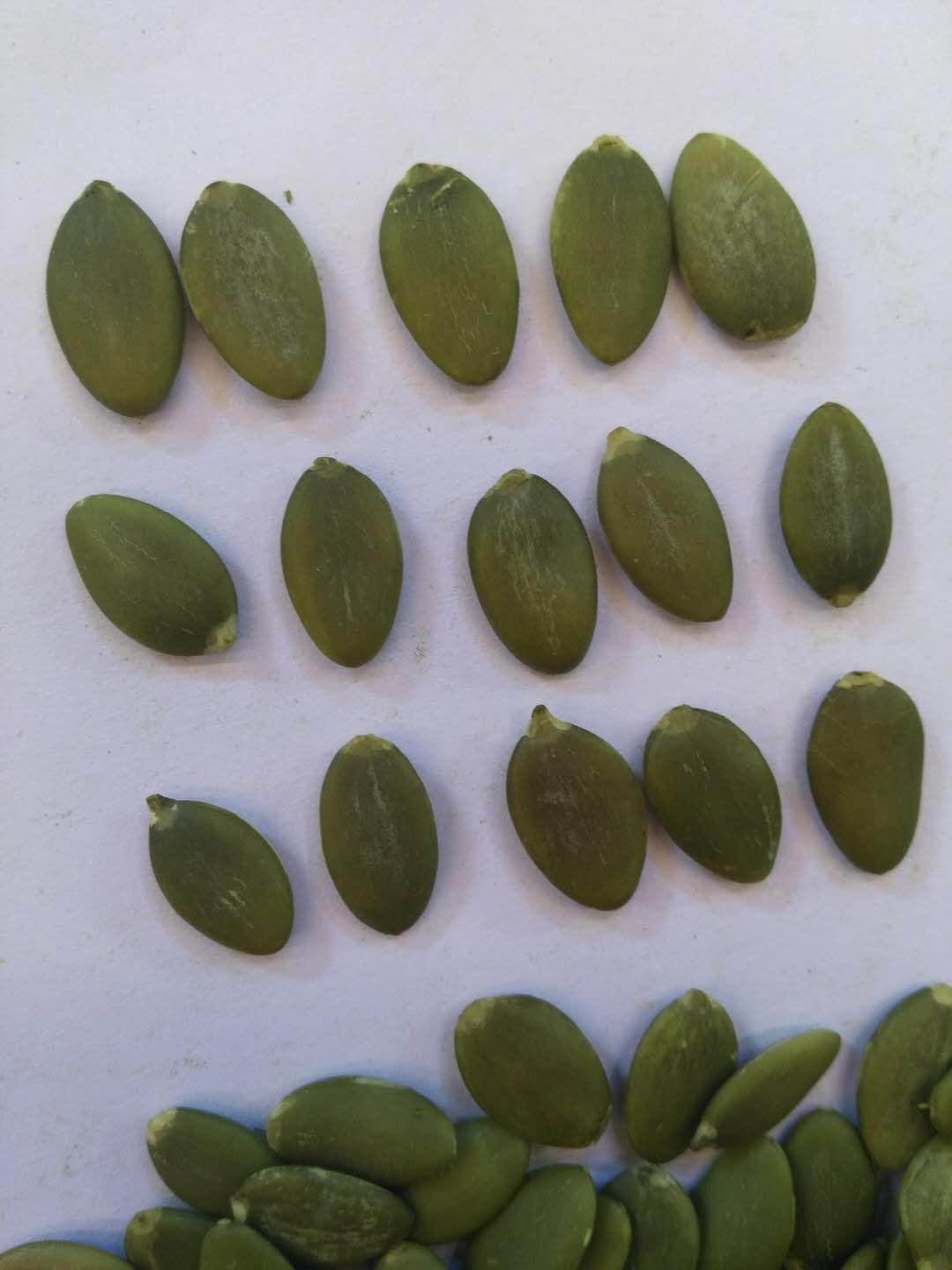 shine skin pumpkin seeds kernels AAA