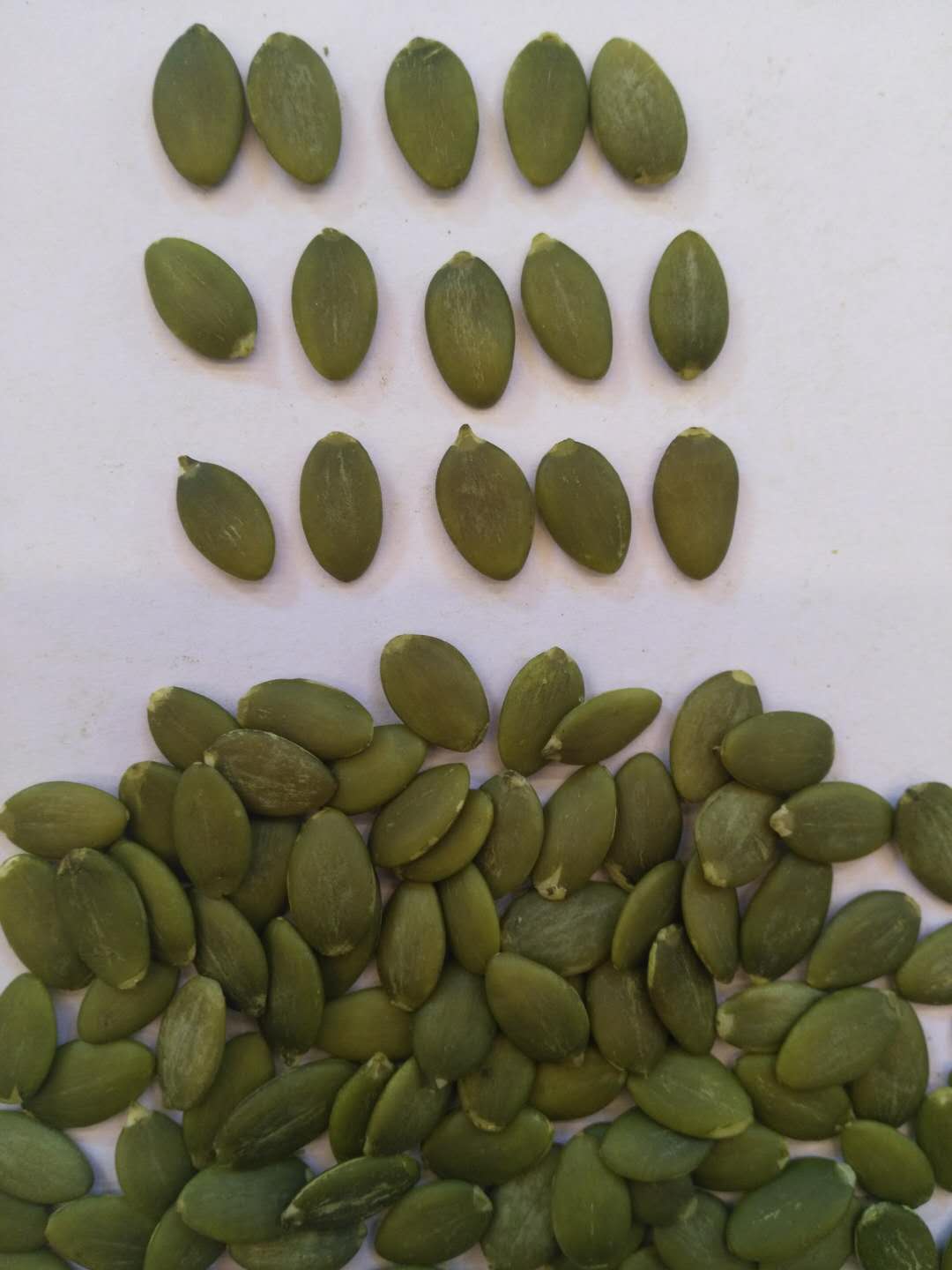 shine skin pumpkin seeds kernels AAA