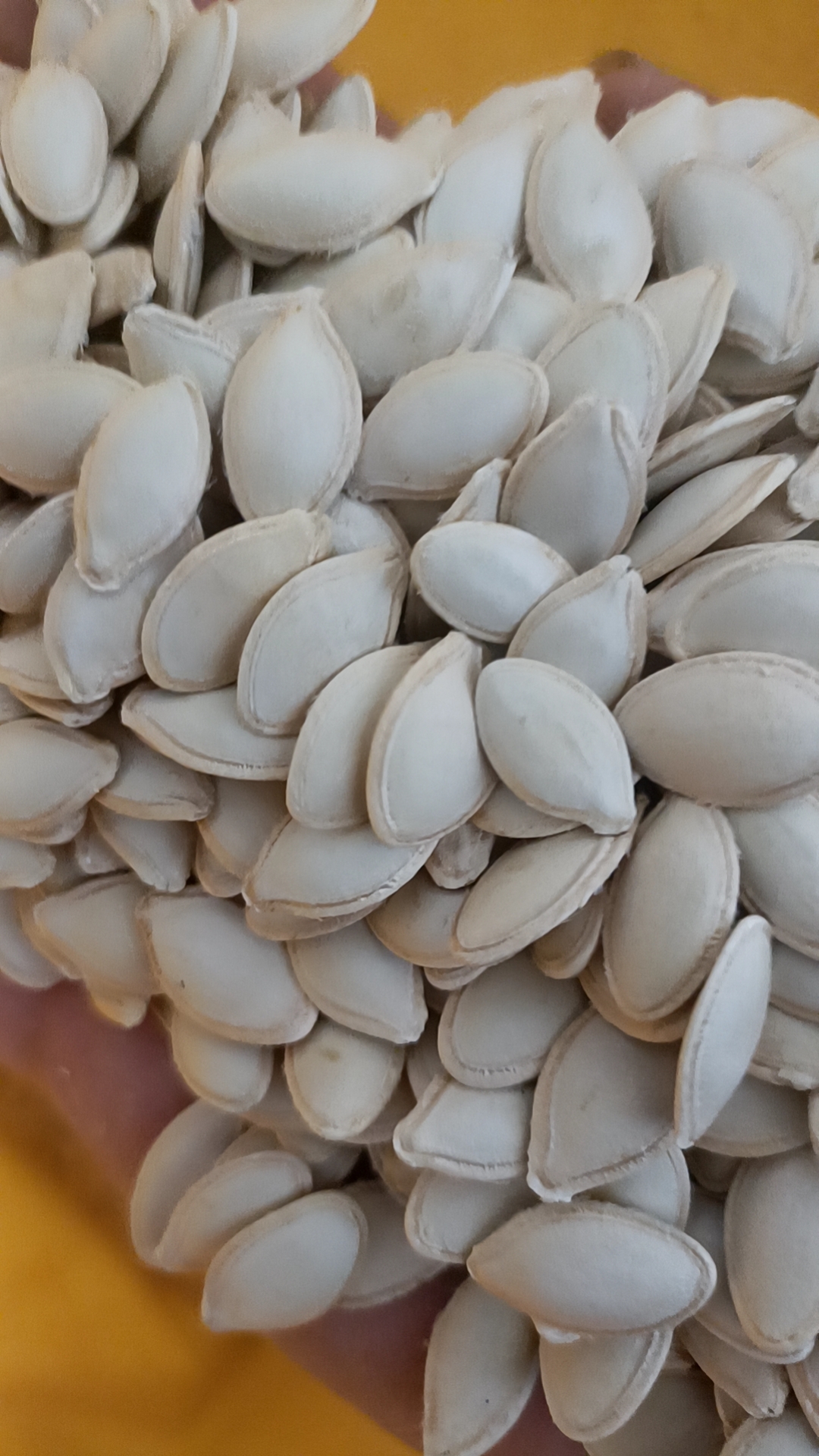 Shine Skin Pumpkin Seeds