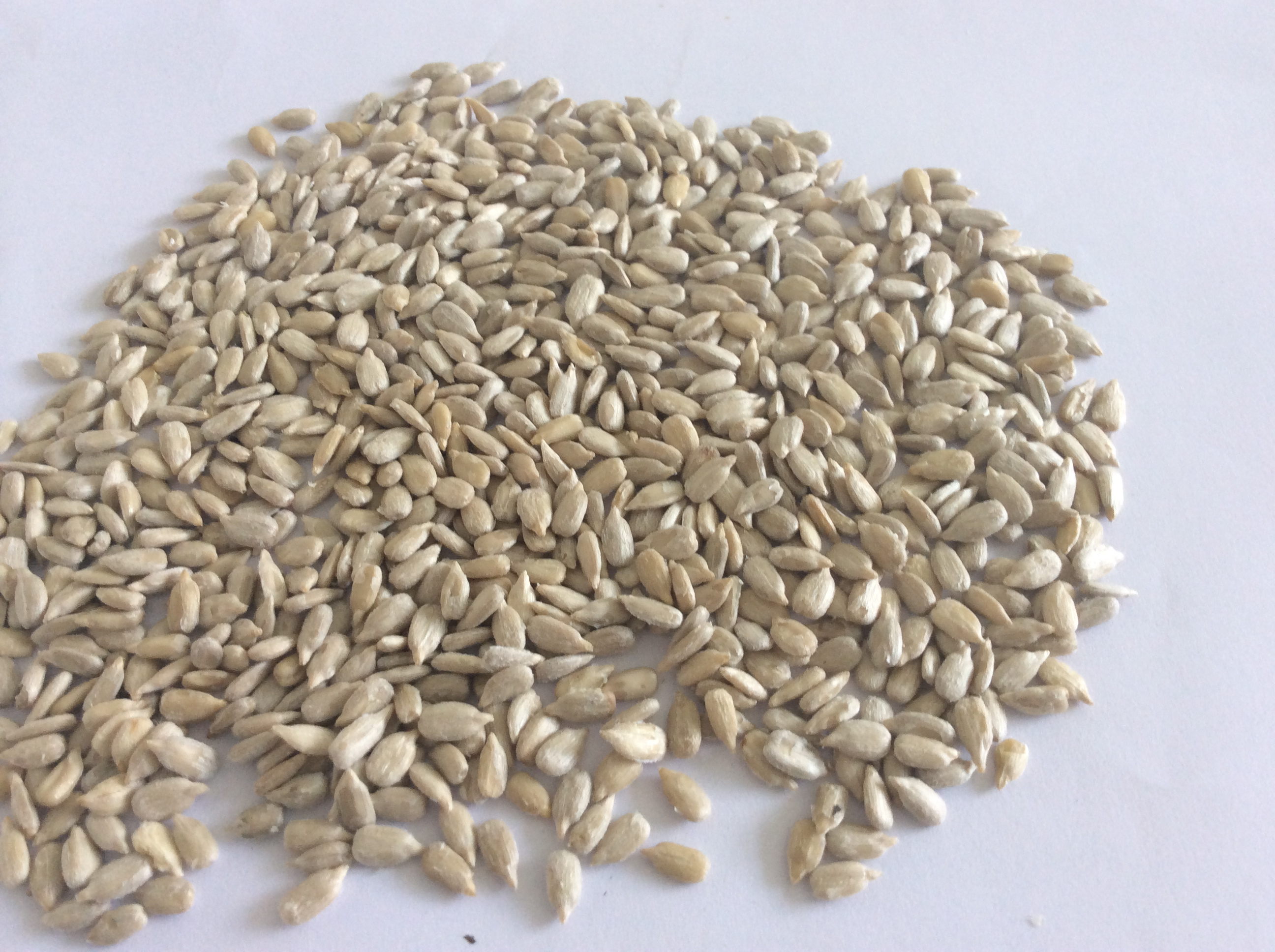 sunflower seed kernels