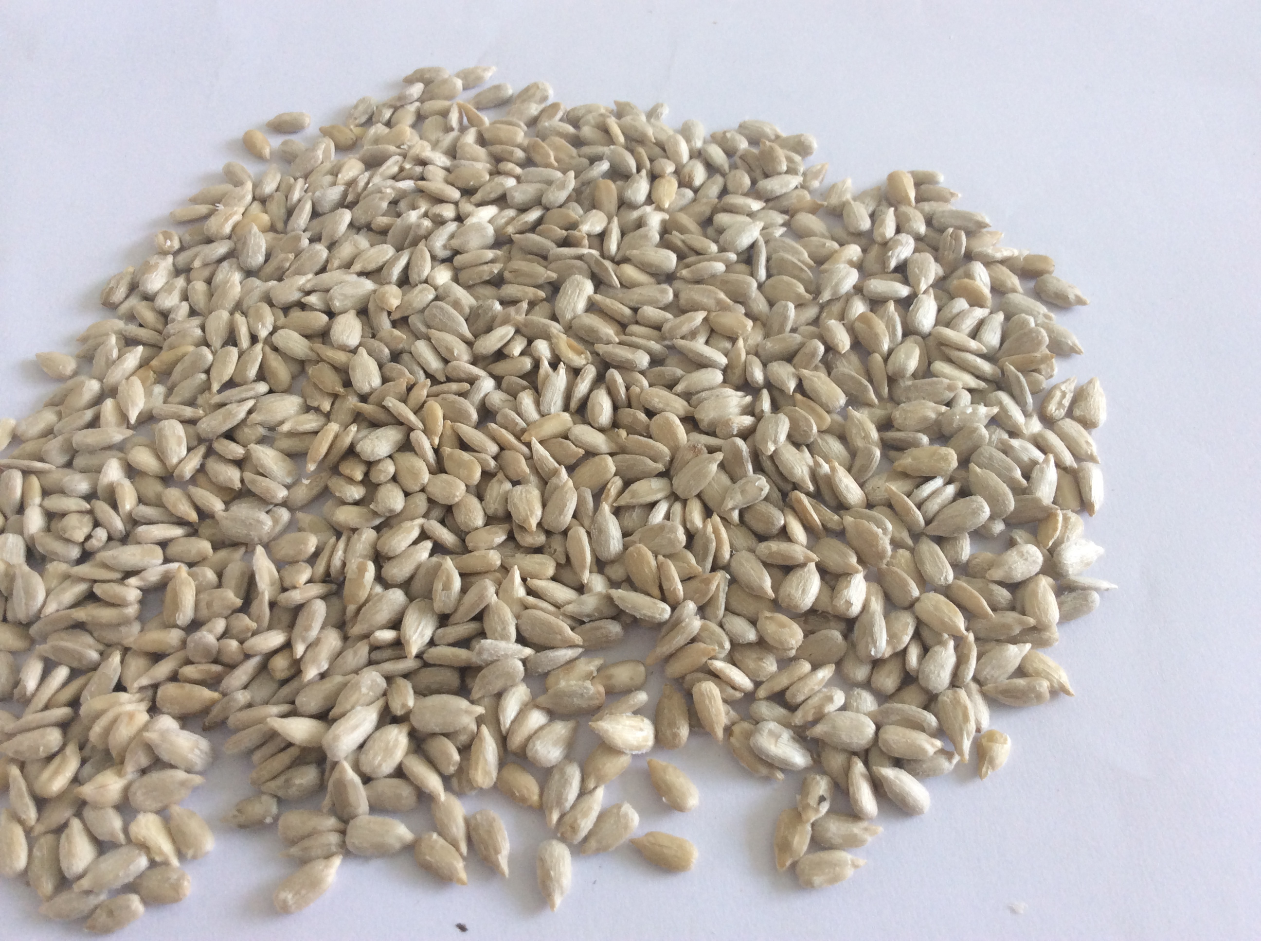 sunflower seed kernels