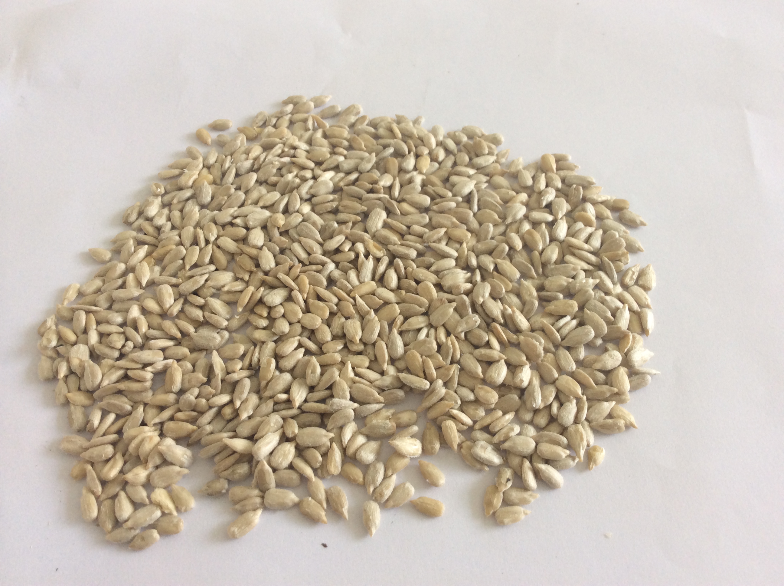sunflower seed kernels