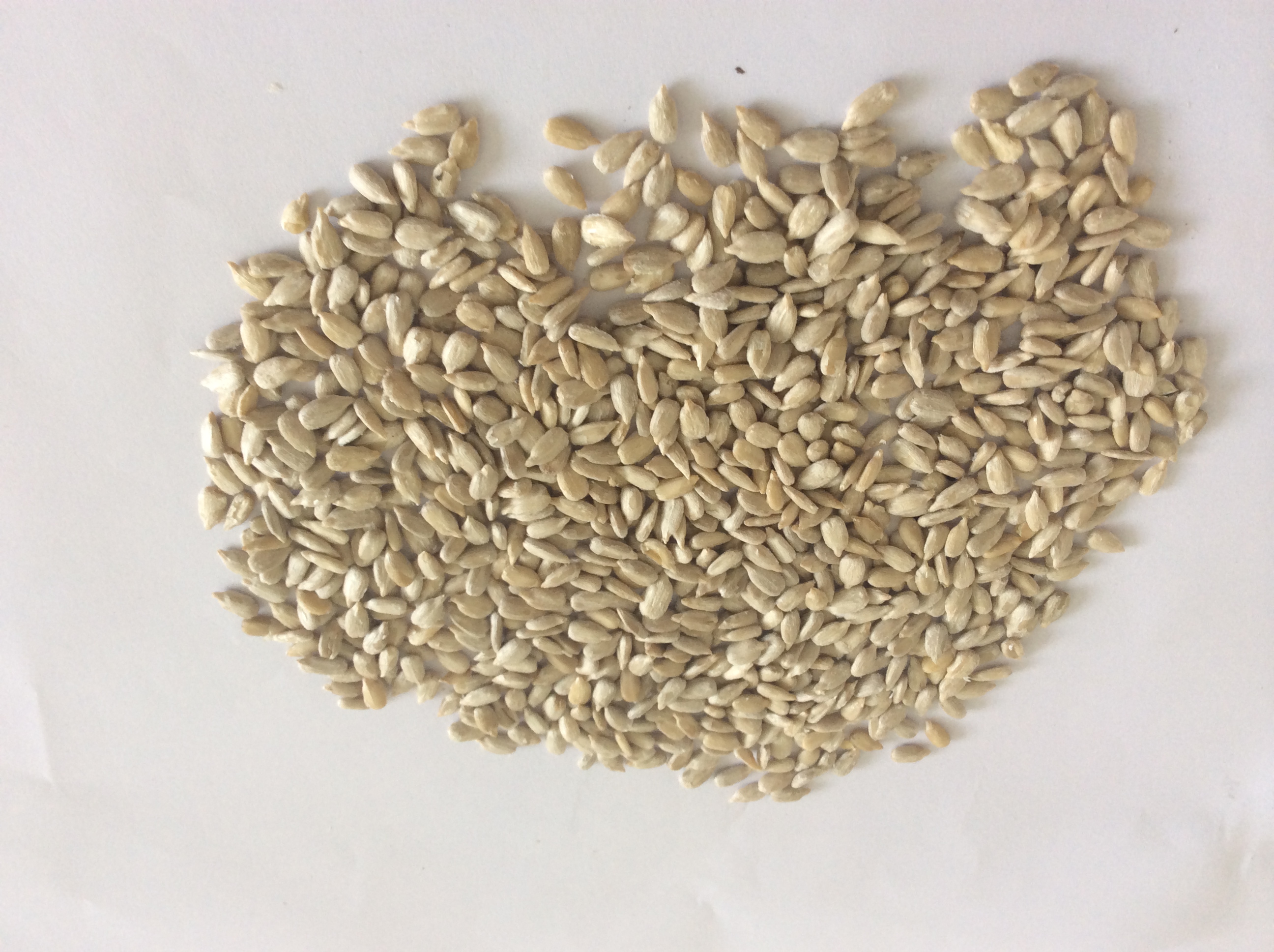 sunflower seed kernels