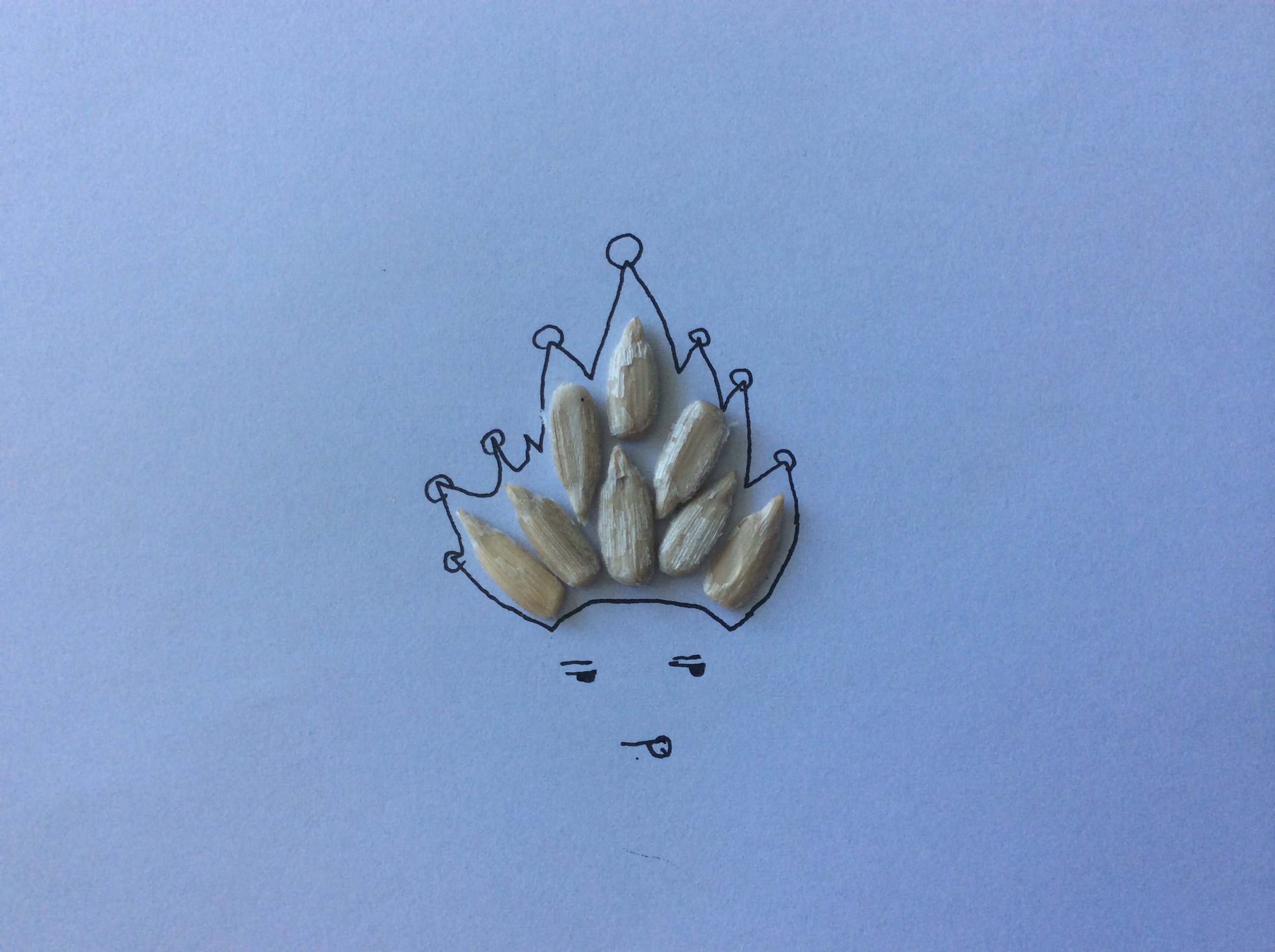 sunflower seed kernels