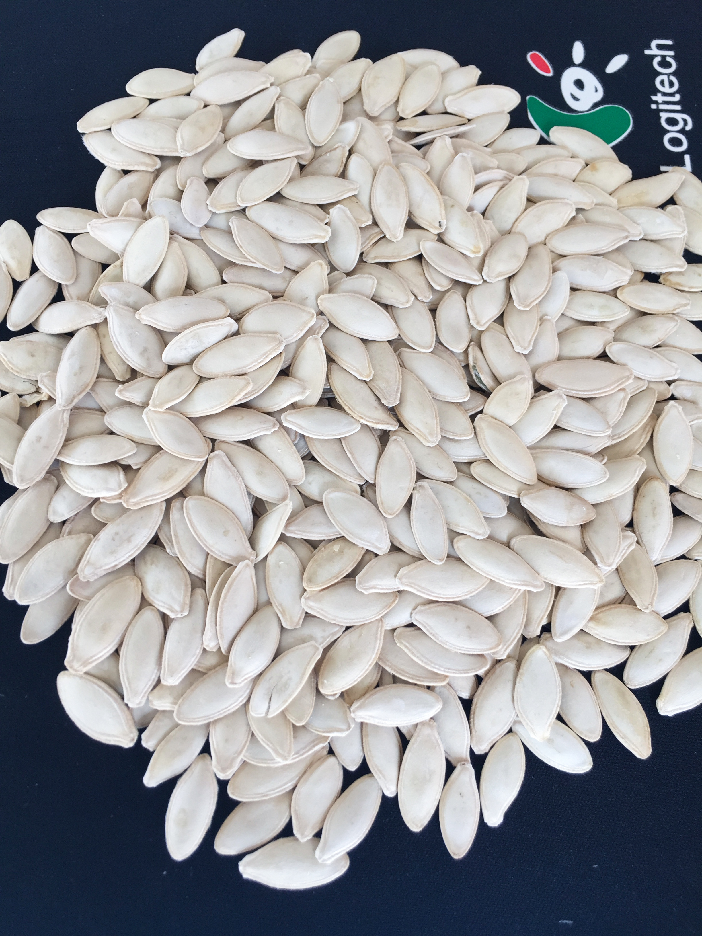 Lady Nail  Pumpkin Seeds
