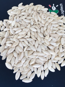 10cm+ Lady Nail Pumpkin Seeds - bulk white seeds closeup