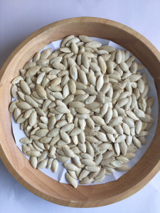 Raw pumpkin seeds - 10cm+ Lady Nail