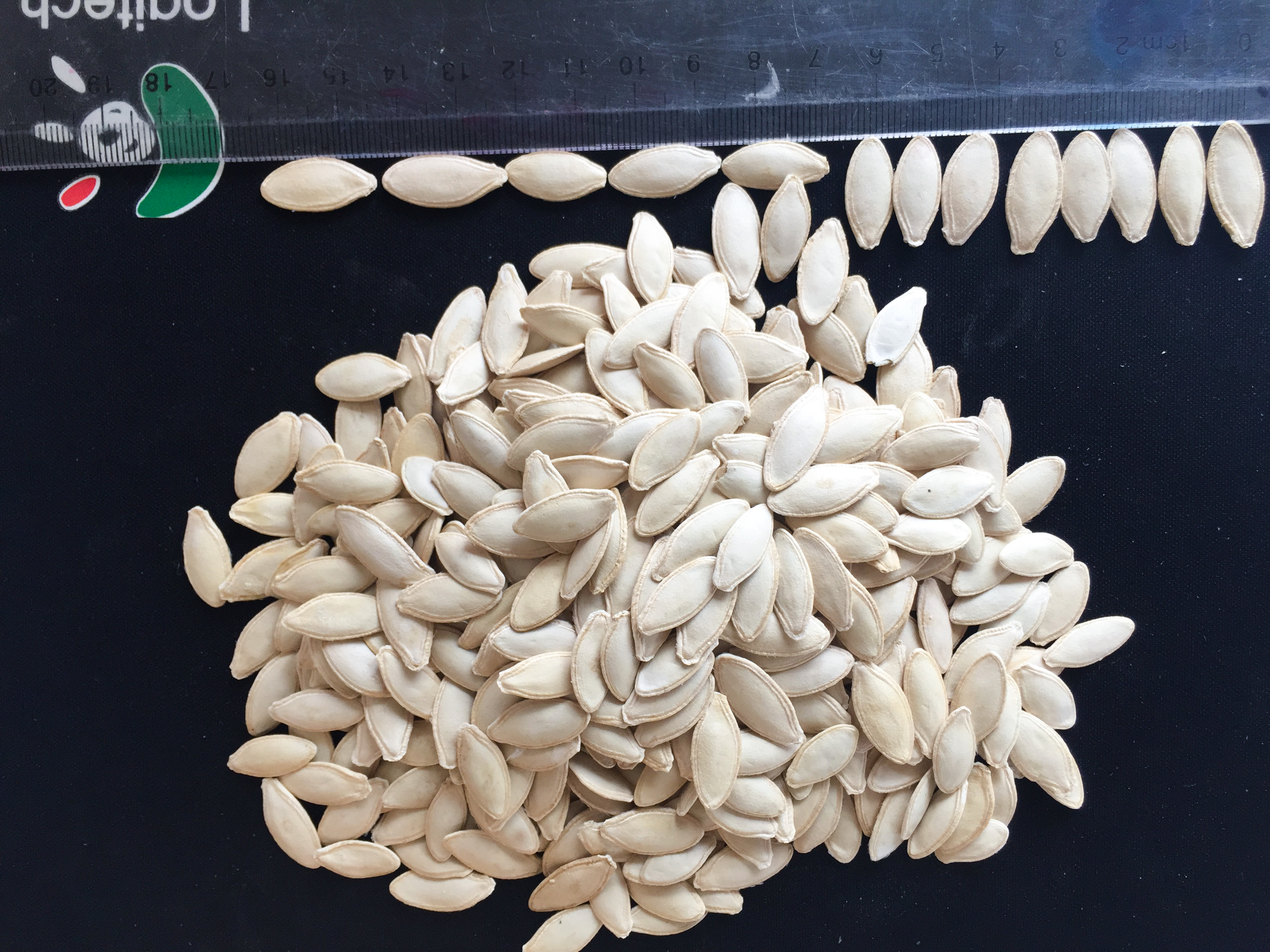 Lady Nail  Pumpkin Seeds