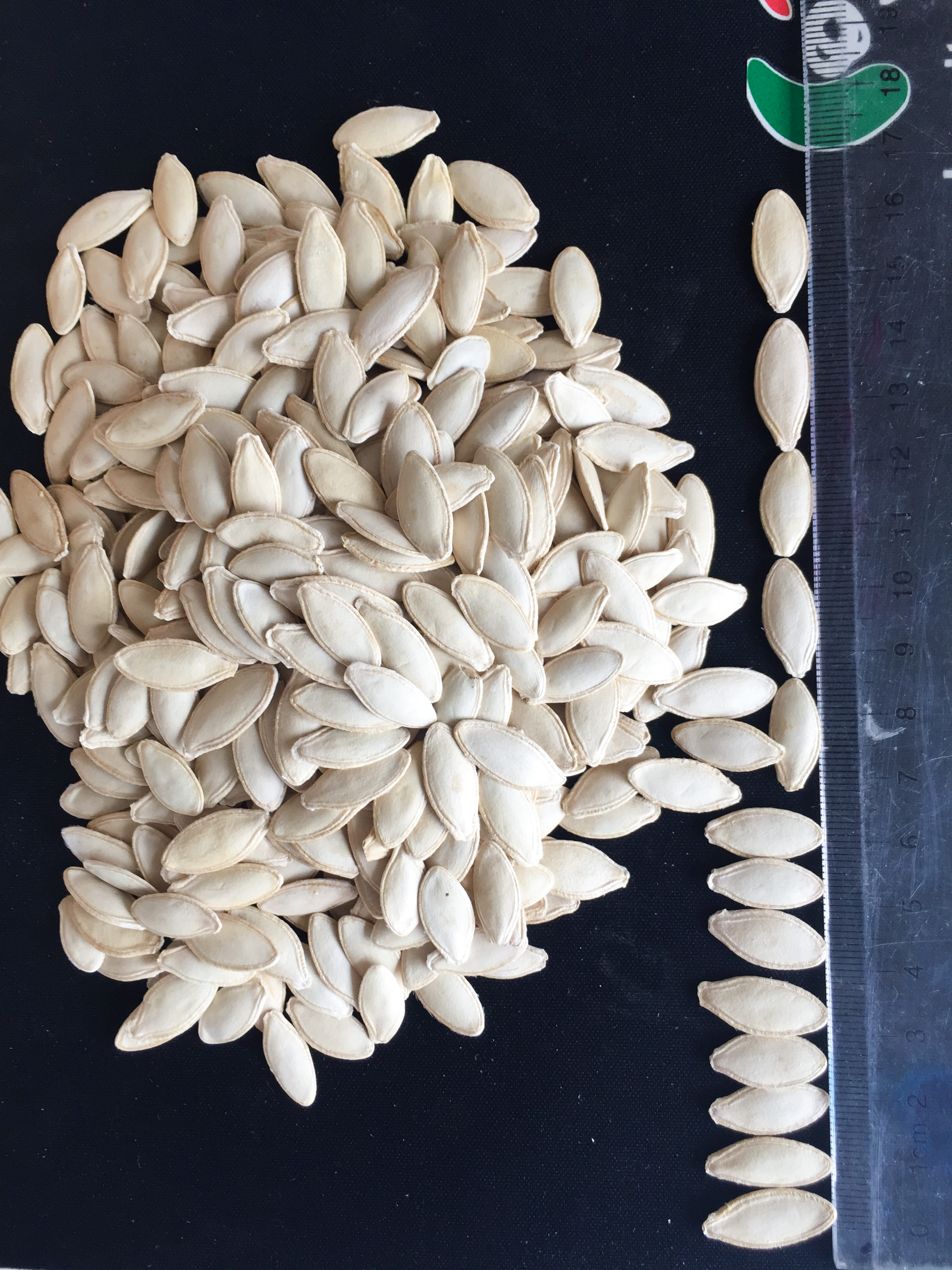 Lady Nail  Pumpkin Seeds