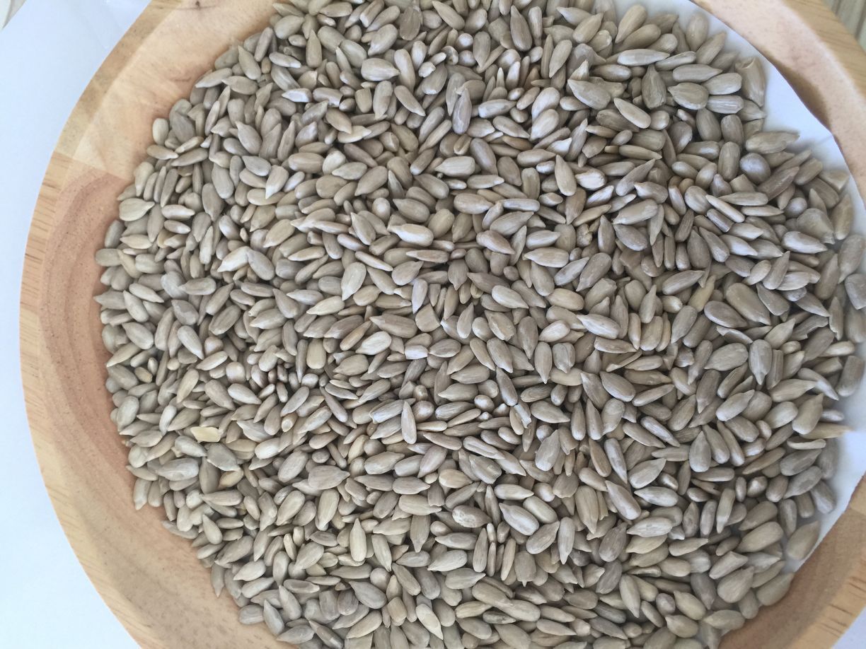 sunflower seed kernels