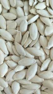 Radish seeds comparison - 7-10mm