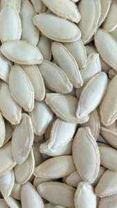 Compact pumpkin seeds for baking
