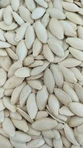 Bulk under 7mm seeds