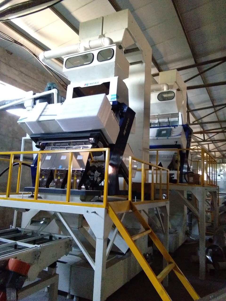 Color sorting machine used in sunflower seed processing