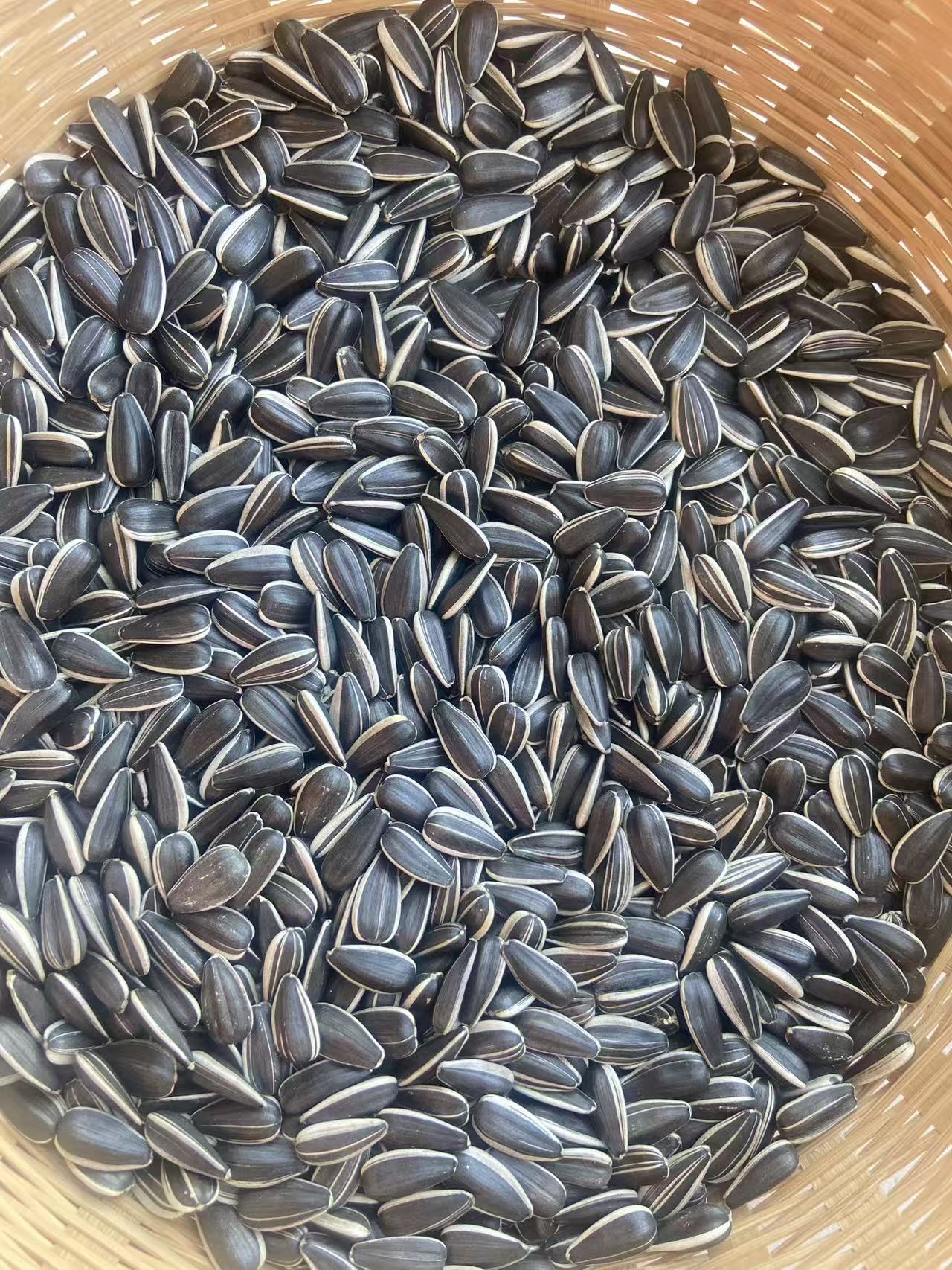 meirenxin