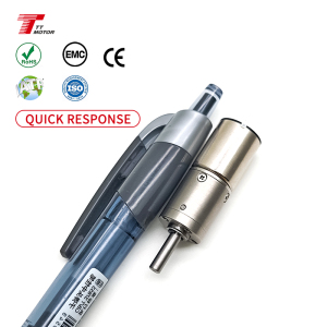 Coreless Motor