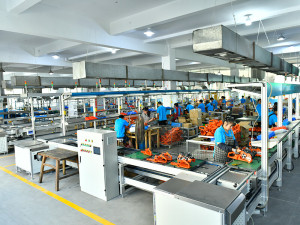 Assembly Lines