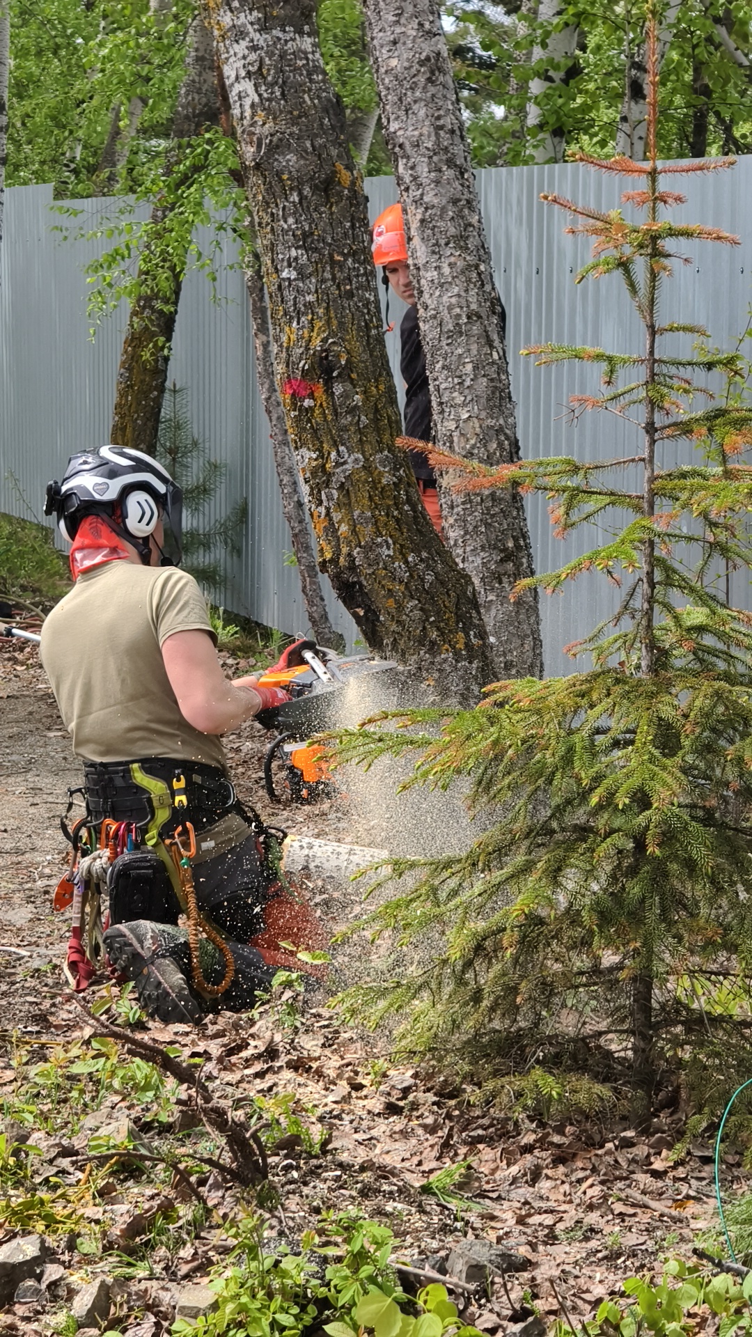 Professional gasoline chainsaw used in logging