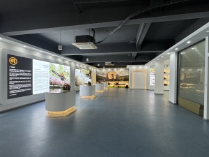 showroom